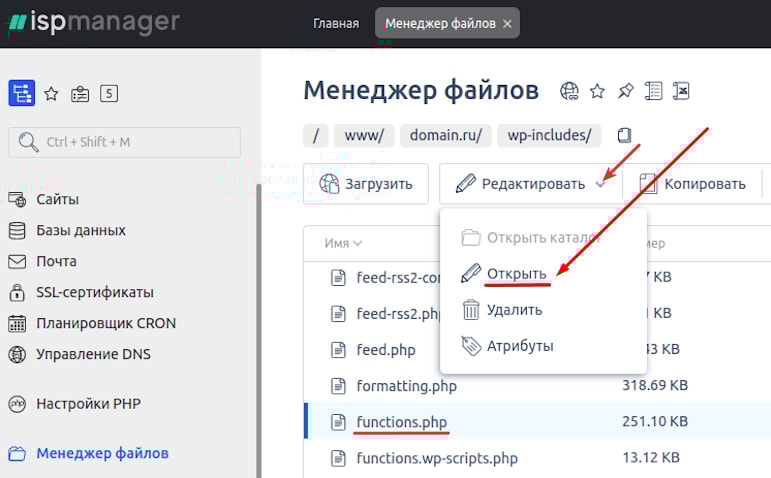 Открытие functions.php панели ispmanager | WidgetSpark